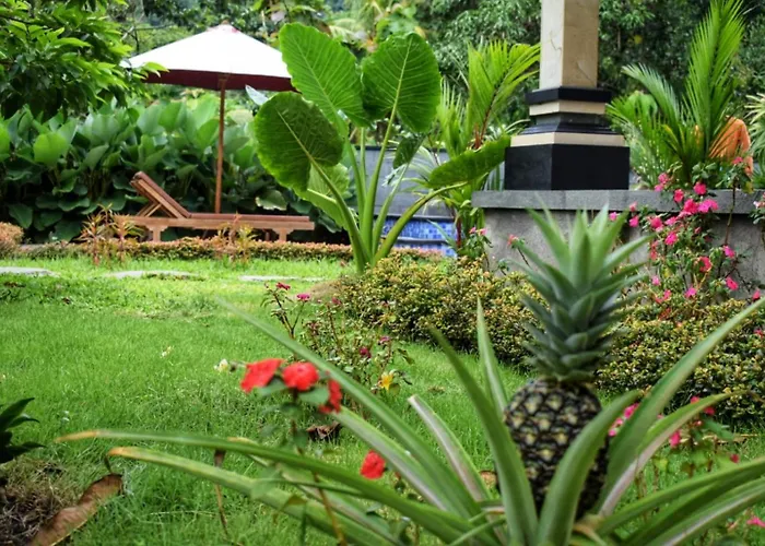 Intan Casa de hóspedes Sidemen (Bali)